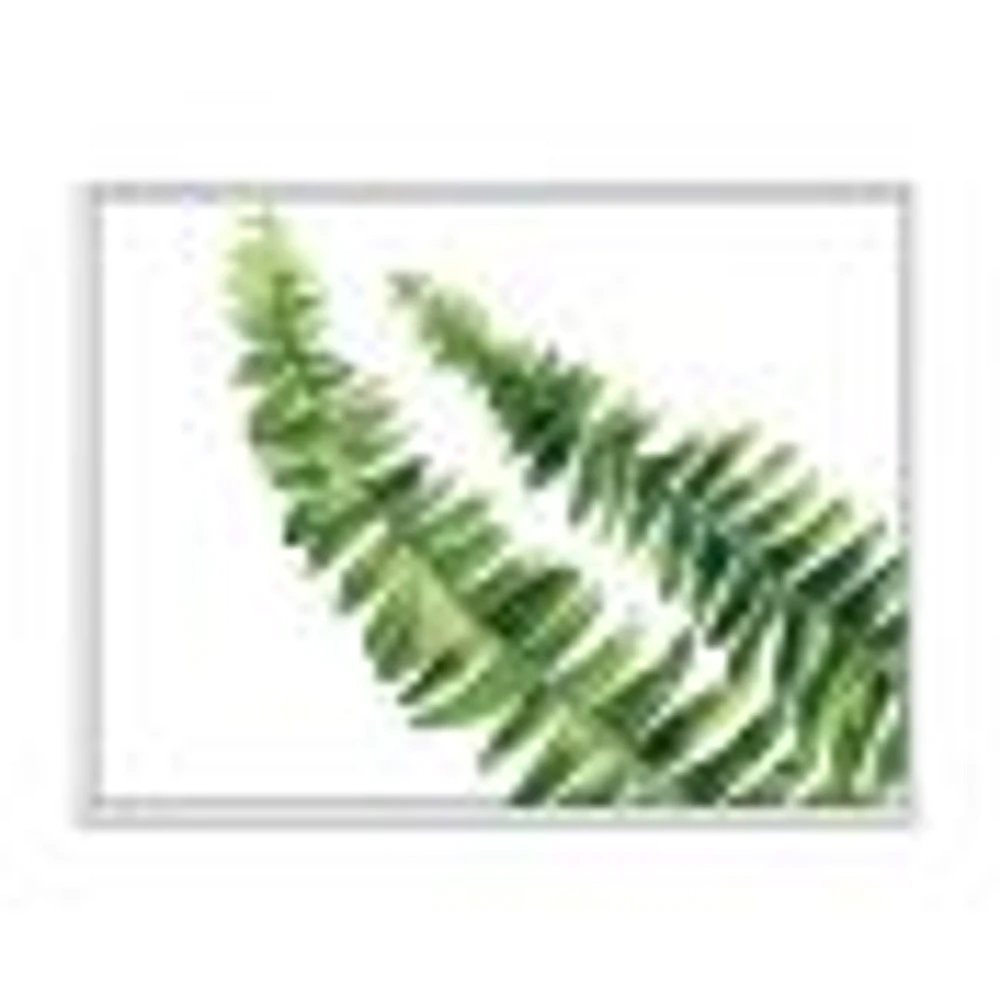 Toile « Fern Leaves Detail I