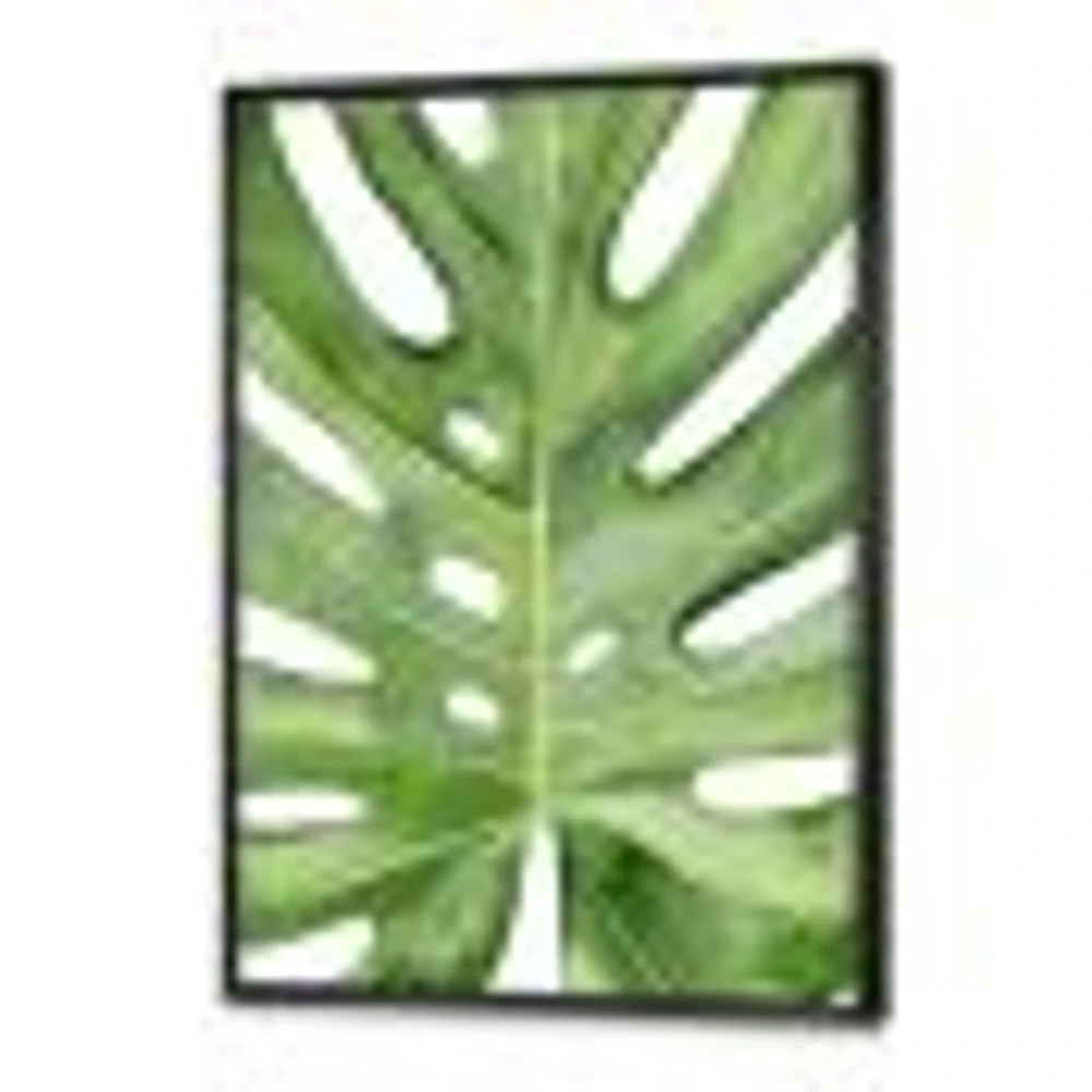 Toile « Green Monstera Leaf Tropical Palm Botanical Detail »