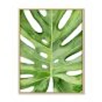 Toile « Green Monstera Leaf Tropical Palm Botanical Detail »