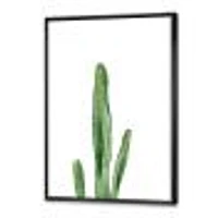 Toile « Green Cactus South Western Plant Botanical Detail »