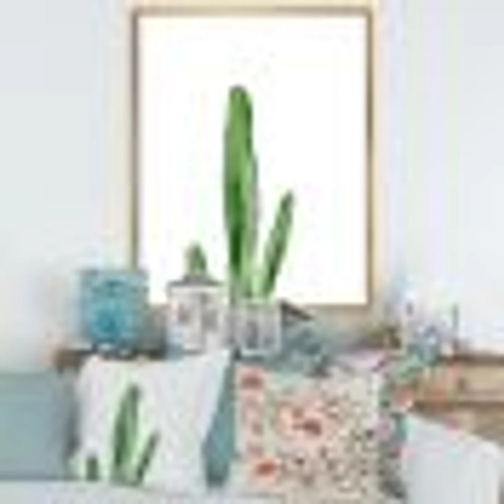 Toile « Green Cactus South Western Plant Botanical Detail »