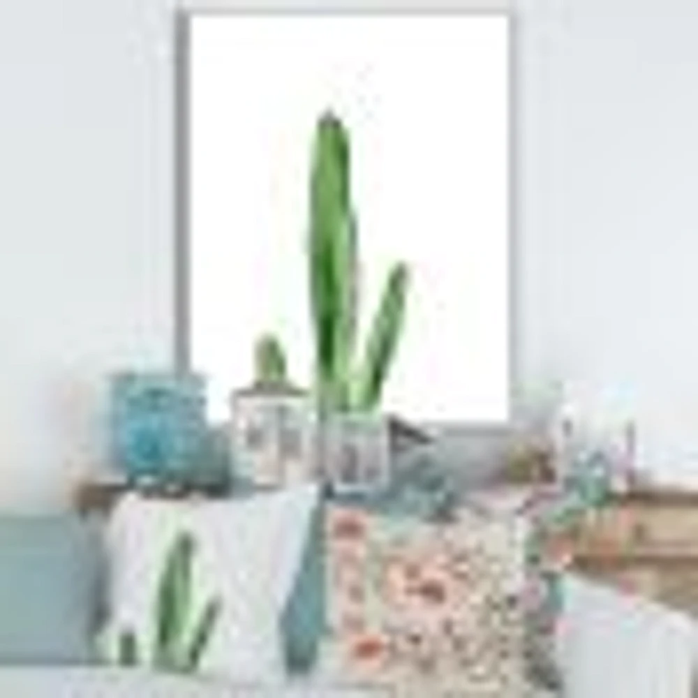 Toile « Green Cactus South Western Plant Botanical Detail »