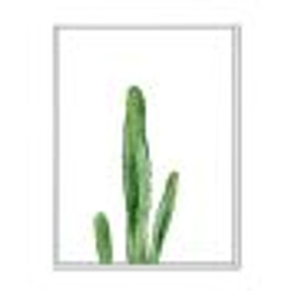 Toile « Green Cactus South Western Plant Botanical Detail »