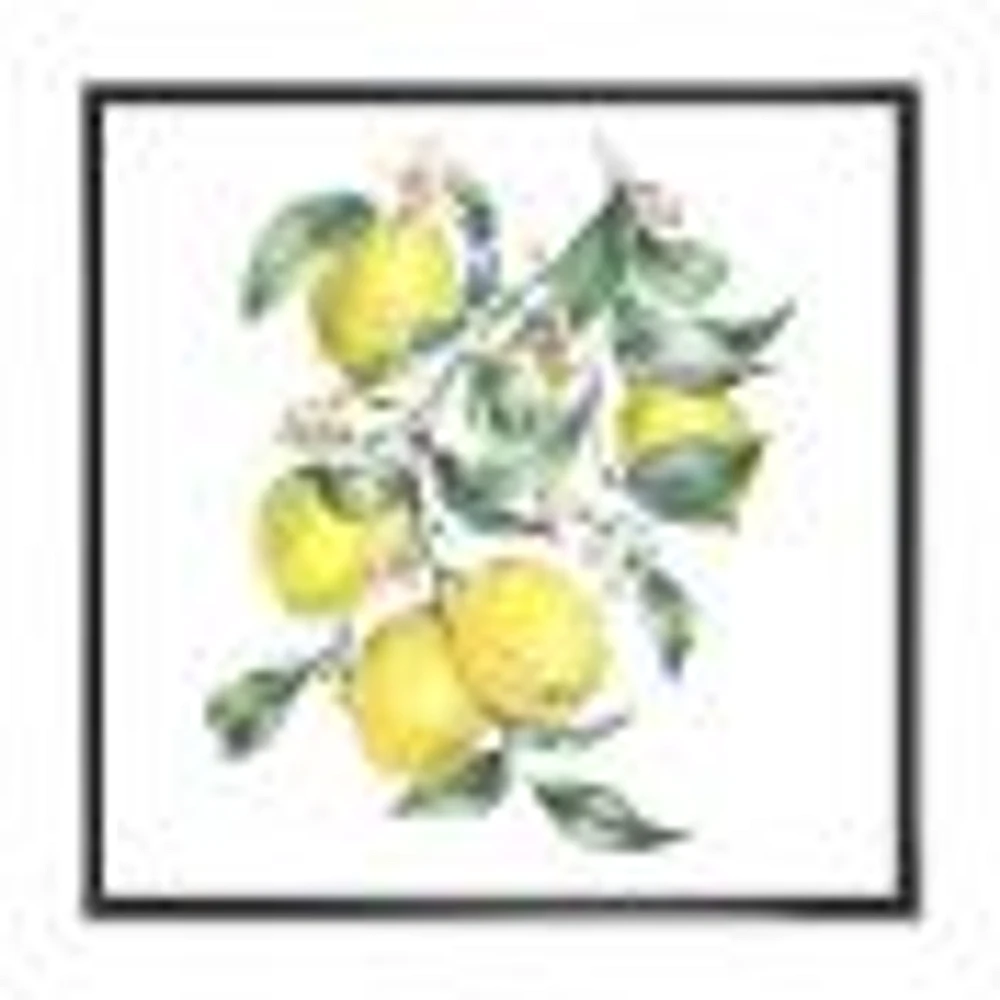 Branch of Yellow Lemons and Leaves I  Wall Art