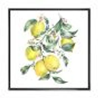 Branch of Yellow Lemons and Leaves I  Wall Art