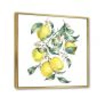 Branch of Yellow Lemons and Leaves I  Wall Art