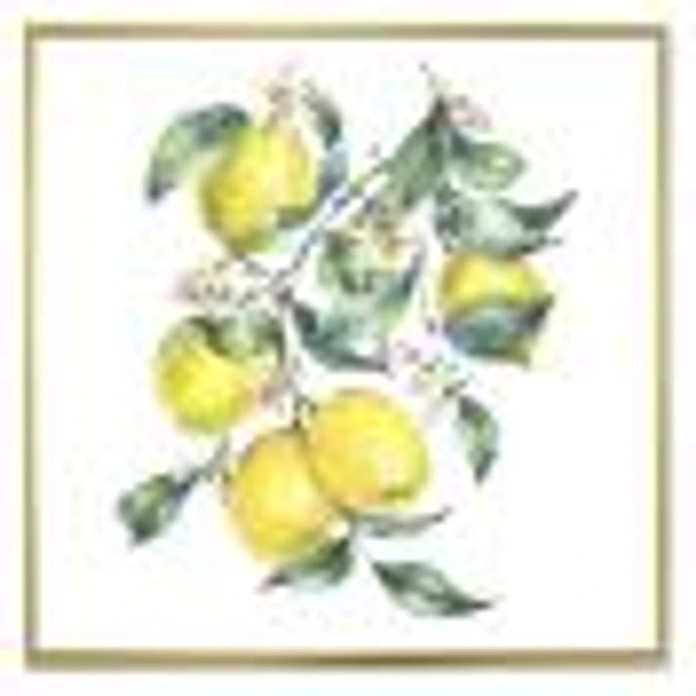 Branch of Yellow Lemons and Leaves I  Wall Art