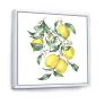 Toile « Branch of Yellow Lemons and Leaves I