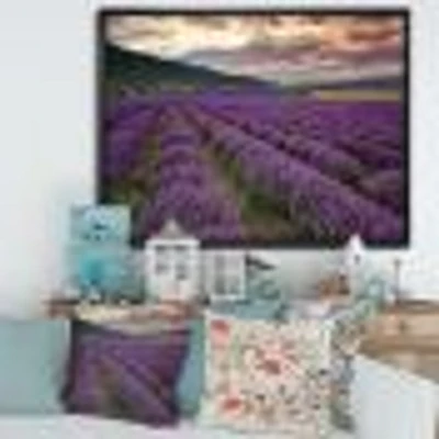 Lavender Field At Dawn I  Wall Art