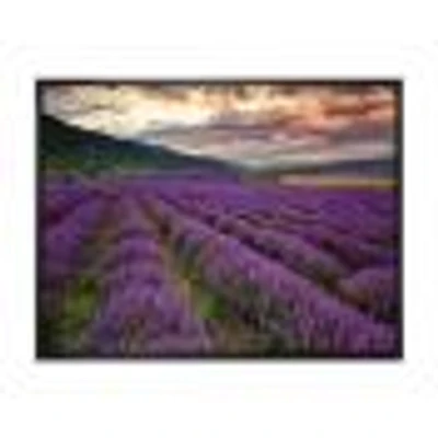 Lavender Field At Dawn I  Wall Art