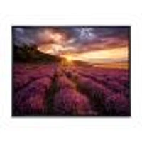 Sunrise & Dramatic Clouds Over Lavender Field IV  Wall Art