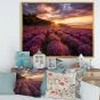 Sunrise & Dramatic Clouds Over Lavender Field IV  Wall Art