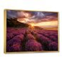 Sunrise & Dramatic Clouds Over Lavender Field IV  Wall Art