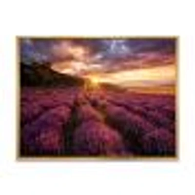 Sunrise & Dramatic Clouds Over Lavender Field IV  Wall Art