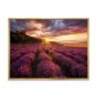 Toile « Sunrise & Dramatic Clouds Over Lavender Field IV