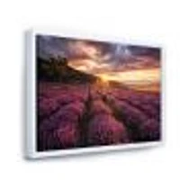 Sunrise & Dramatic Clouds Over Lavender Field IV  Wall Art