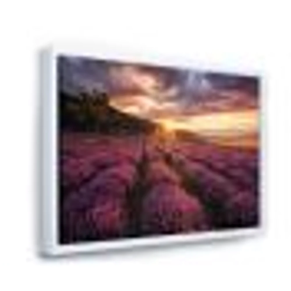 Sunrise & Dramatic Clouds Over Lavender Field IV  Wall Art