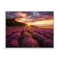 Sunrise & Dramatic Clouds Over Lavender Field IV  Wall Art