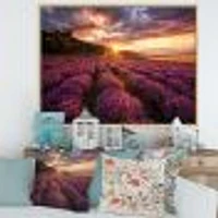 Toile « Sunrise & Dramatic Clouds Over Lavender Field IV