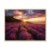 Sunrise & Dramatic Clouds Over Lavender Field IV  Wall Art