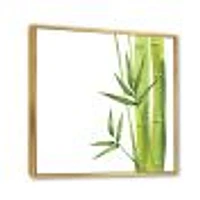 Bamboo Branches The Forest V  Wall Art