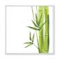 Bamboo Branches The Forest V  Wall Art