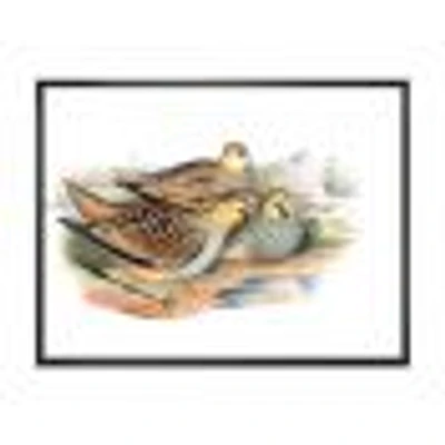 Vintage Birds The Wild III  Wall Art