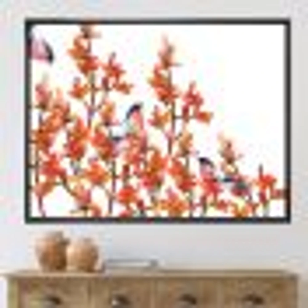 Flock of Bullfinches Birds on Orange Branches Wall Art