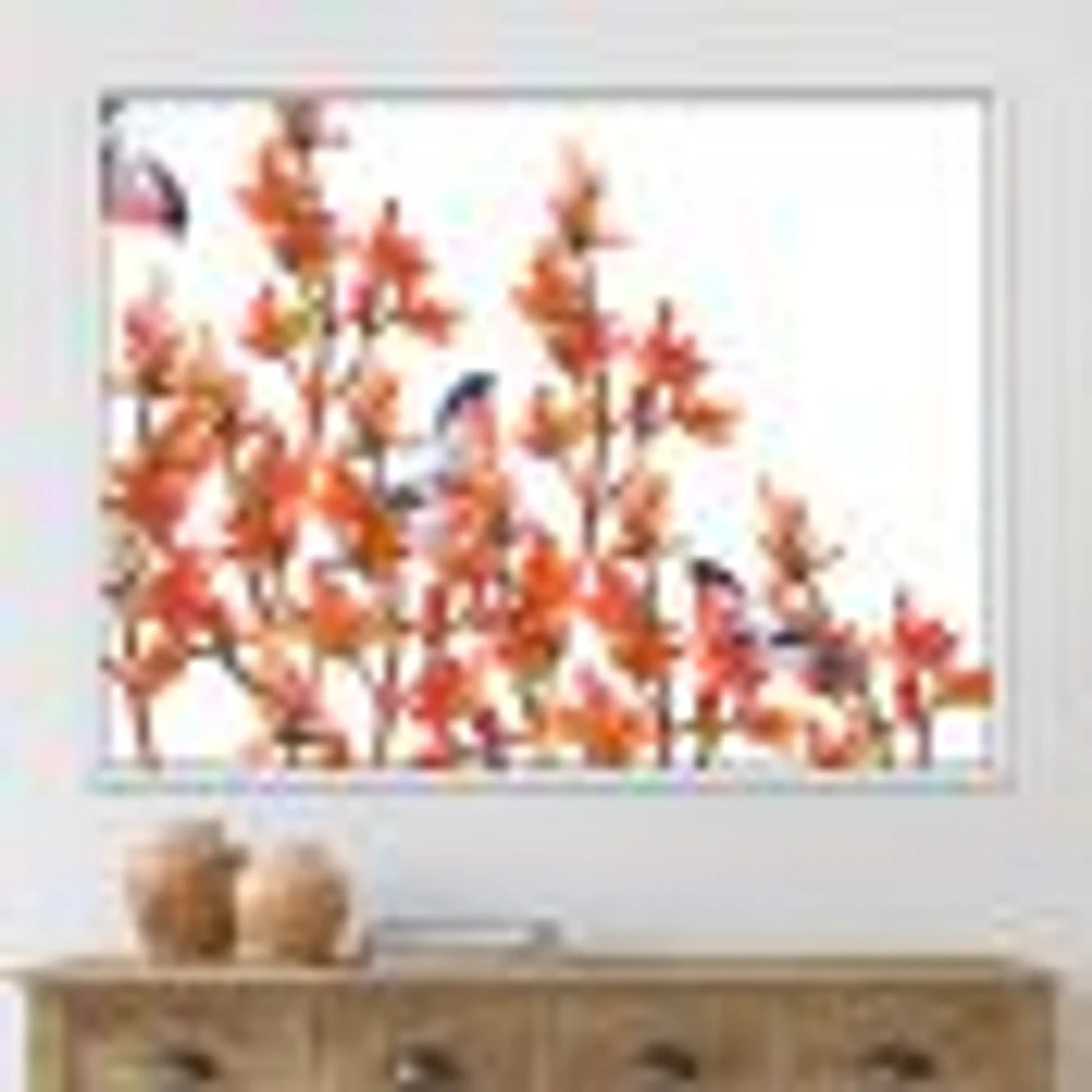 Toile « Flock of Bullfinches Birds on Orange Branches