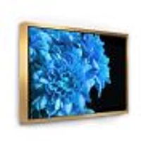 Detail of Blue Flowers on Black I  Wall Art