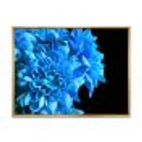 Detail of Blue Flowers on Black I  Wall Art