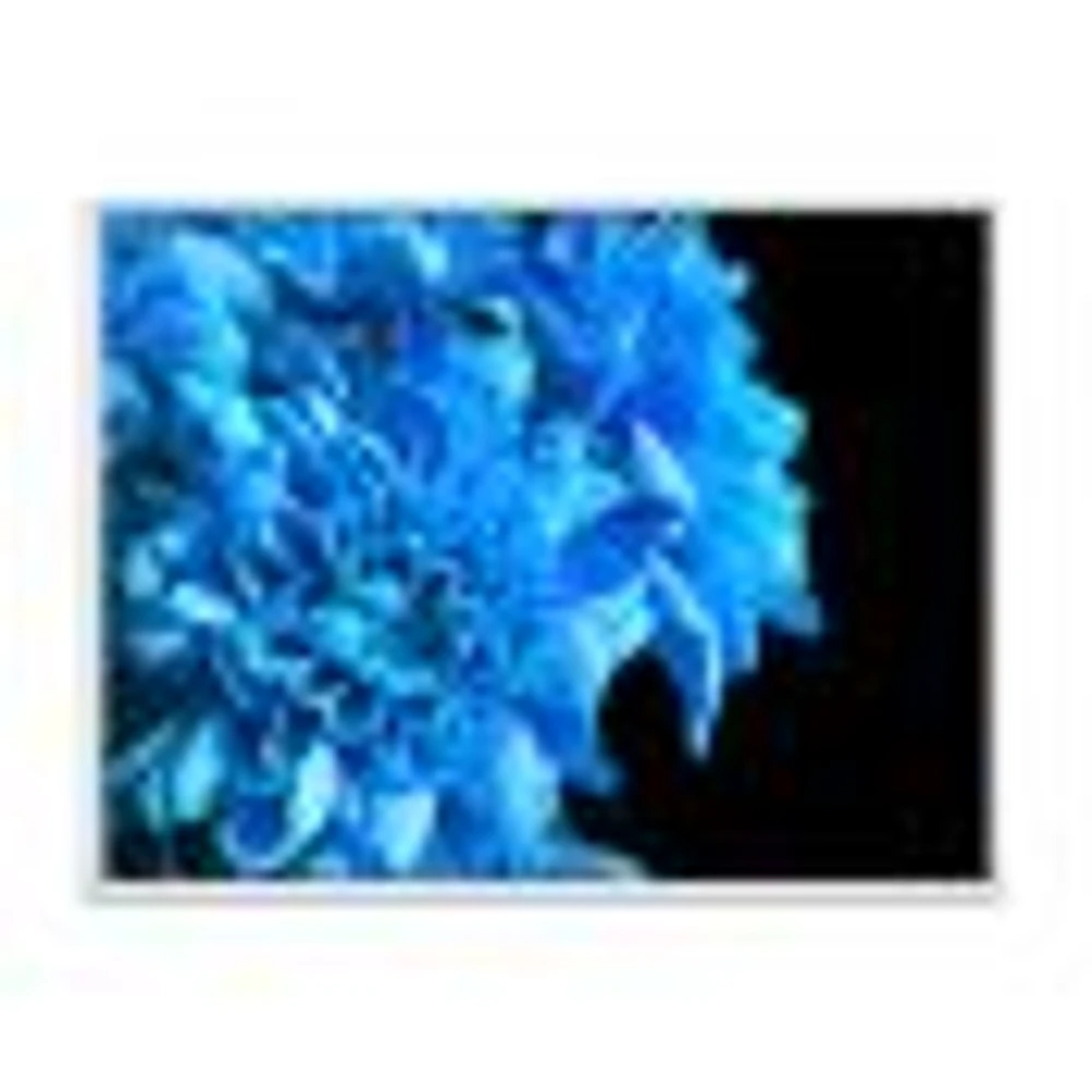 Detail of Blue Flowers on Black I  Wall Art