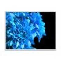 Detail of Blue Flowers on Black I  Wall Art