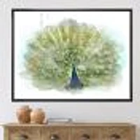 Peacock Bird  Wall Art