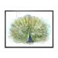 Peacock Bird  Wall Art