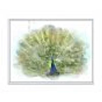 Peacock Bird  Wall Art