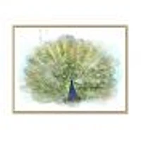 Peacock Bird  Wall Art