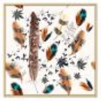 Multicolored Feather Pattern  Wall Art