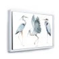 Heron Birds II  Wall Art