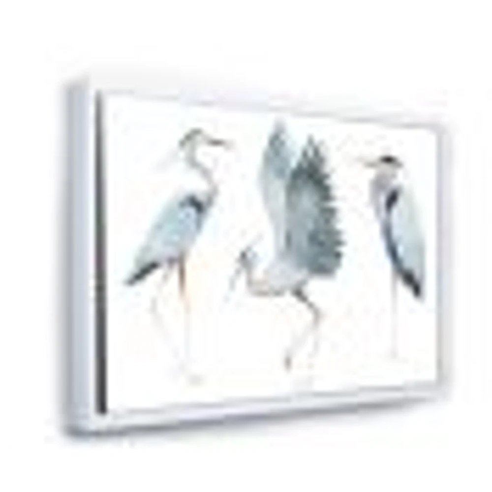 Toile « Heron Birds II