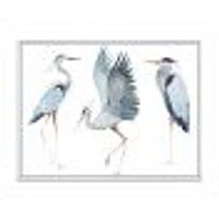 Heron Birds II  Wall Art