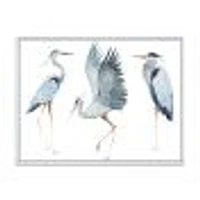 Heron Birds II  Wall Art