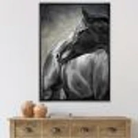 Toile imprimée « Portrait of A Black Horse »