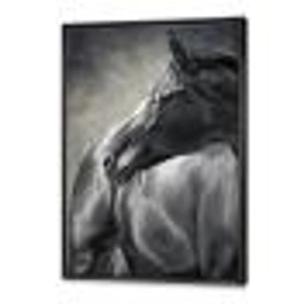 Toile imprimée « Portrait of A Black Horse »