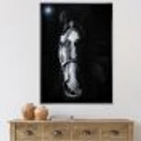 Toile « Horse Staring Sinister »