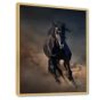 Toile « Portrait of Thoroughbred Nonius Stallion Horse I »