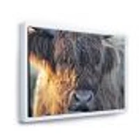 Scottish Cow on Moorland III  Canvas Wall Art Print