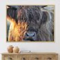 Scottish Cow on Moorland III  Canvas Wall Art Print