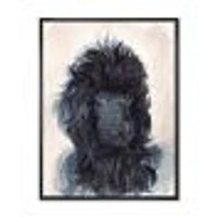 Toile imprimée « Portrait of The Black Poodle Puppy with Curly Coat »