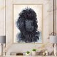 Toile imprimée « Portrait of The Black Poodle Puppy with Curly Coat »